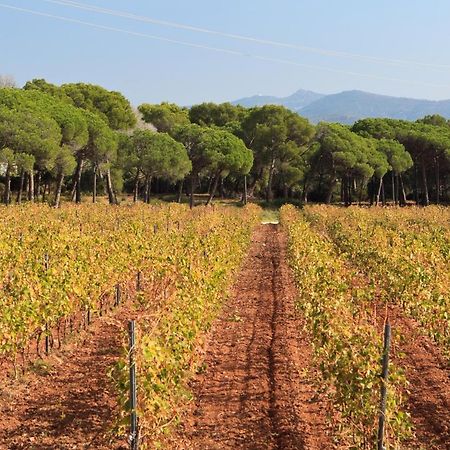 Le Gite Des Cinq Cepages Frejus Luaran gambar