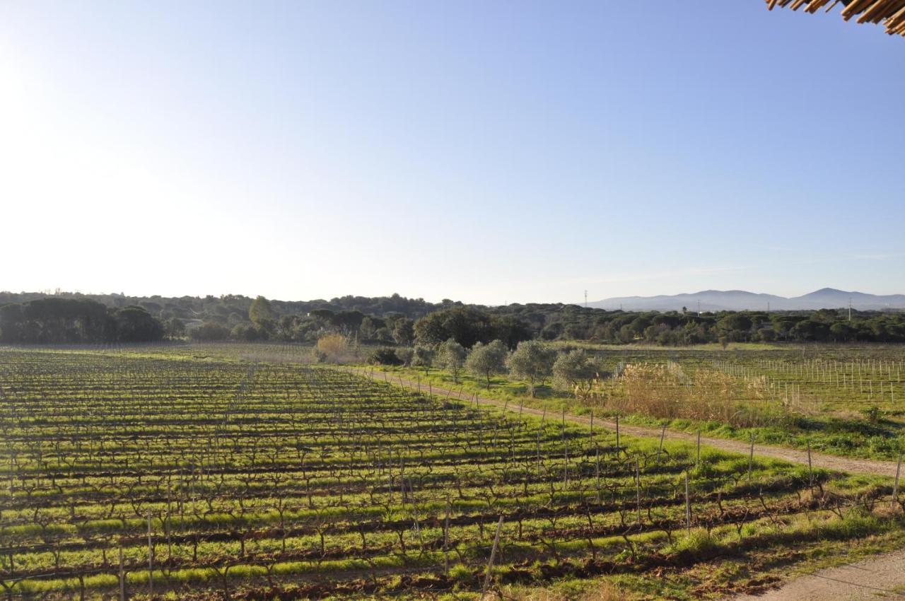 Le Gite Des Cinq Cepages Frejus Luaran gambar